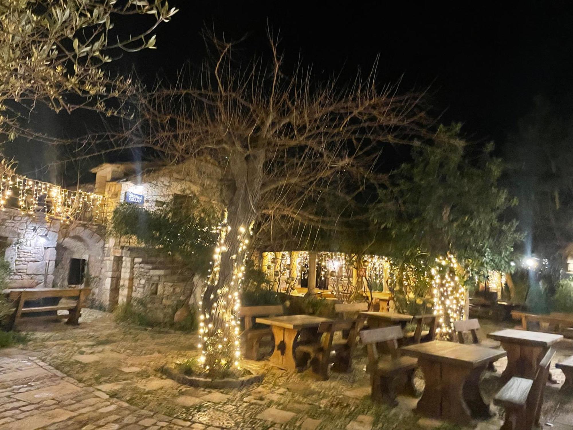 My Adriatic Place With Private Garden And Garage Šibenik Exteriér fotografie